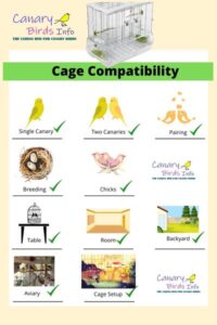Best Cage for Canary