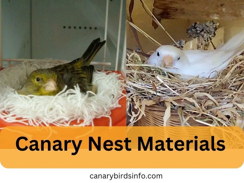 canary nest materials